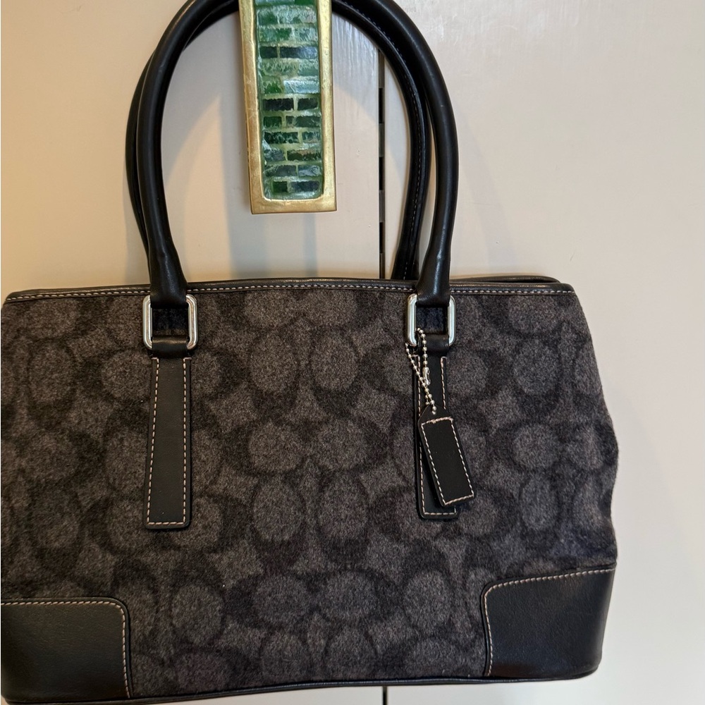 Coach Hand bag (B7)
